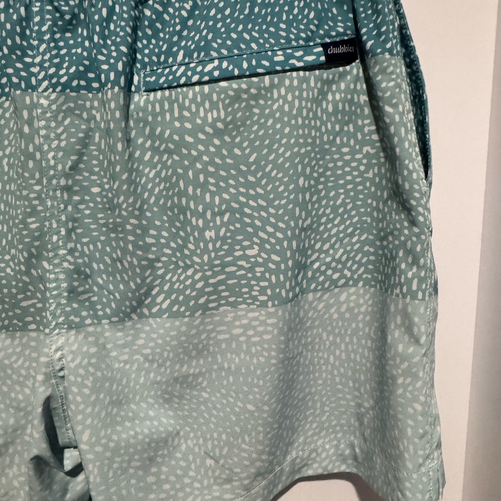 chubbies Green Gradient Patterned Swim Trunks - Picture 10 of 15